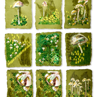 Fungi 2019 Políptico  8.5" x 11.5" / Acrylic on paper